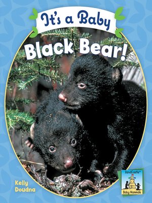 cover image of It's a Baby Black Bear
